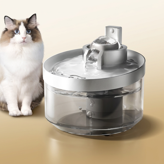 Cat Water Fountain on warm gold-sand background
